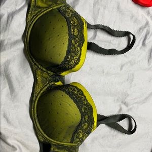 Women’s Bra